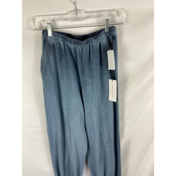 NWT Treasure & Bond Oil Wash Cotton Blend Joggers Blue Size XS - Picture 3 of 7
